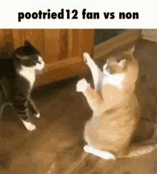 pootried12 minecraft youtube cat cats