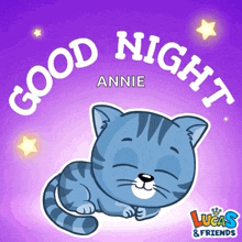 good night sweet dreams good night my love sleeping cat going to bed cat