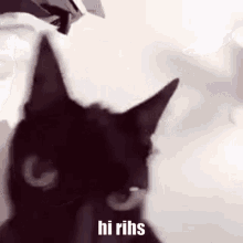 Hi Rihs Rihs GIF - Hi Rihs Rihs GIFs