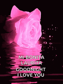 goodnight roses