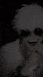 a person wearing sunglasses and a white shirt with the word no on the bottom left