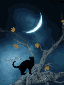 Art Cat GIF - Art Cat Blackcat GIFs