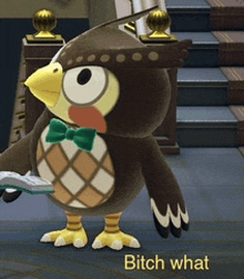 a stuffed owl with a green bow tie is holding a book and says " bitch what "