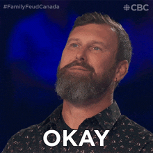 Okay Ian GIF - Okay Ian Family Feud Canada GIFs