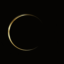 a logo for brust sezaa with a gold circle