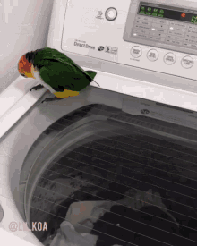 GIF