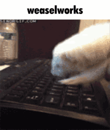 Weaselworks Working GIF - Weaselworks Weasel Work GIFs