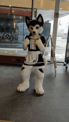 GIF