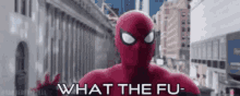 Spiderman Wtf What The Fu GIF - Spiderman Wtf What The Fu What GIFs