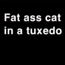 Cat Tuxedo GIF - Cat Tuxedo Naj Lore GIFs