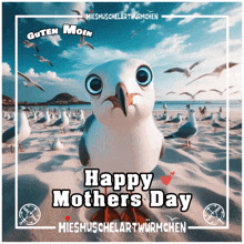 a picture of a seagull with the words happy mothers day on it
