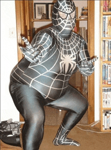 Spiderman Spiderkurwaman GIF