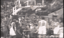 Allanhouston Knicks GIF