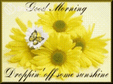 Good Morning Droppin Off Some Sunshine GIF - Good Morning Droppin Off Some Sunshine Flowers GIFs