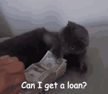 Can I Get A Loan? GIF - Loan Can I Get A Loan GIFs