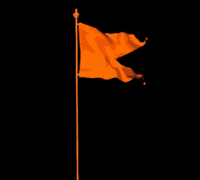 HINDU Tshirts with bhagwa flag - A3 Poster - Frankly Wearing