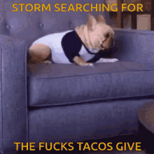 Storm Searching GIF - Storm Searching Roll Over GIFs