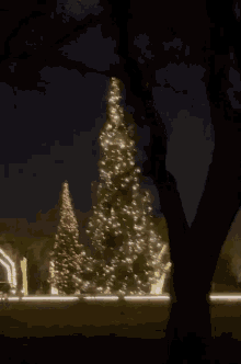 Christmas Lights GIF - Christmas Lights GIFs