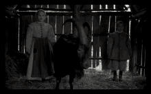Blackphillip Thewitch GIF