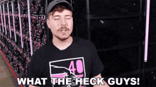 What The Heck Guys Mrbeast GIF - What The Heck Guys Mrbeast Oh Come On GIFs