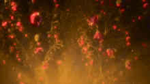 a bunch of red flowers are floating in the air on a black background .
