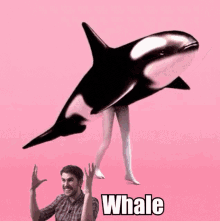 whale sean