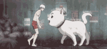 Petty Dog GIF - Petty Dog Anime GIFs