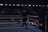 a wrestler stands in the middle of a wrestling ring with the letter e in the corner