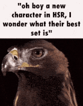 a picture of an eagle with a caption that says " oh boy a new character in hsr i wonder what their best set is