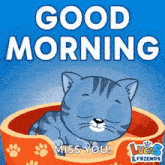 a cat is sleeping in a bed with the words " good morning miss you " below it
