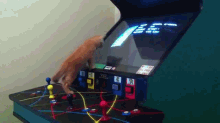 Chasing The High Scores GIF - Cats Kittens Games GIFs