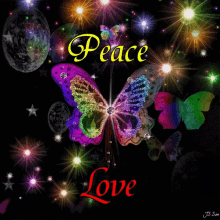 Peace Love GIF - Peace Love Butterfly GIFs