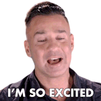 Im So Excited The Situation Sticker - Im So Excited The Situation Mike Sorrentino Stickers