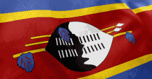 Swaziland Coyotemedia GIF