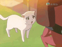 a white cat standing next to a person with chinese writing on the bottom