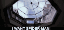 I Want Spider Man Right Now GIF - I Want Spider Man Right Now GIFs
