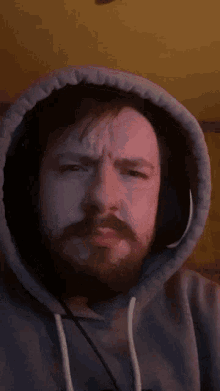 What Now GIF - What Now Huh GIFs