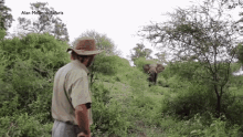 elephant charging elephant charging elephant charges man south africa