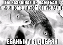 a black and white photo of two fish with a foreign language caption