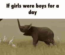 If Girls Were Boys For A Day GIF - If Girls Were Boys For A Day Elephant GIFs