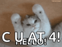 Hello Cat GIF - Hello Cat Waving GIFs