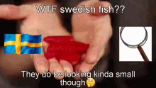 Sweden Swedish Fish GIF - Sweden Swedish Fish Fish GIFs