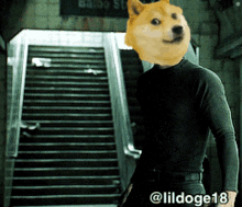 Dogecoin GIF
