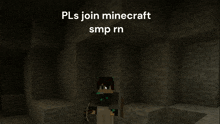 Minecraft Minecraft Smp Join GIF - Minecraft Minecraft Smp Join GIFs
