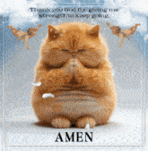 a cat is praying with the words thank you god for giving me strength to keep going behind it