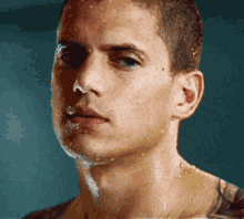 Michael Scofield GIF