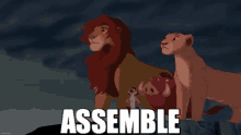 The Lion King Disney GIF - The Lion King Disney Disney The Lion King GIFs