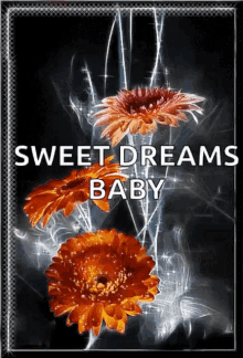 Sweet Dreams Baby GIF - Sweet Dreams Baby Sparkles GIFs