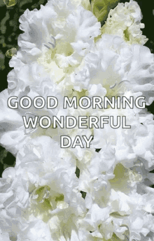 Good Morning Wonderful Day GIF - Good Morning Wonderful Day Sparkles GIFs
