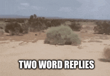 a blurred image of a desert with the words two word replies above it